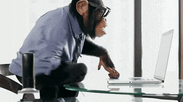 Trovelle GIF