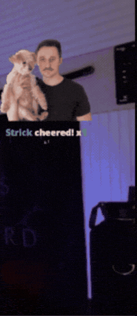 Money Streamer GIF