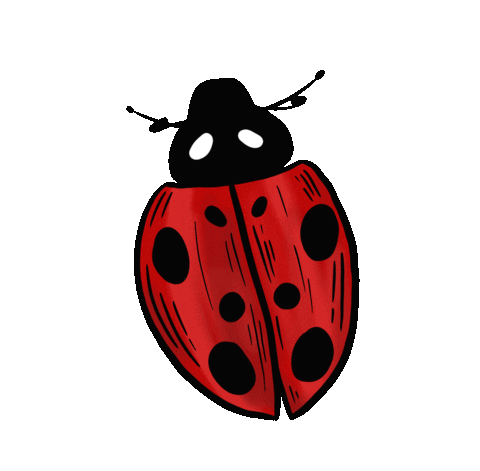fly bug animated gif