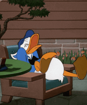 donald duck laughing GIF - donald duck laughing GIF