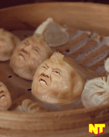 donald trump GIF by NowThis 