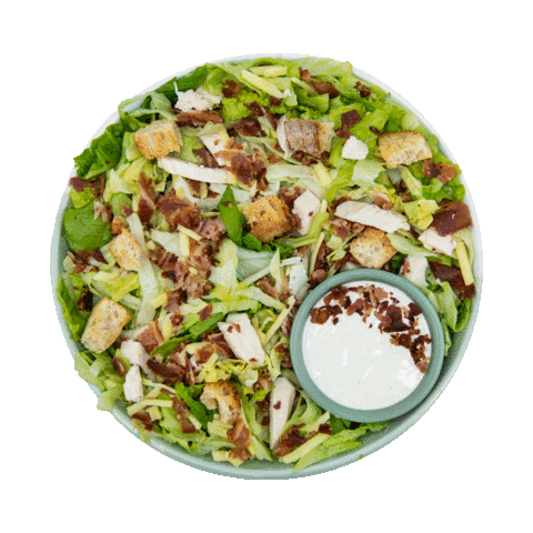 Salad Wrap Sticker by Freshly Chopped