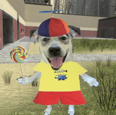 Happy Dog GIF