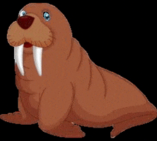 Maiguefoca GIF