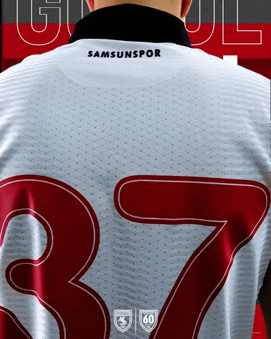 King Of The North GIF by SAMSUNSPOR