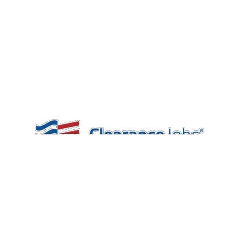 ClearanceJobs Sticker