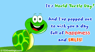 Text gif. A charmingly nerdy cartoon turtle reveals and conceals and bouquet of smiling flowers. Text, "It's World Turtle Day! And I've popped out to wish you a day full of happiness and smiles!"