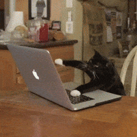 Typing GIFs - Get the best GIF on GIPHY