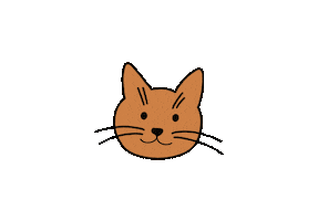 Cat Fun Sticker by Bussel United