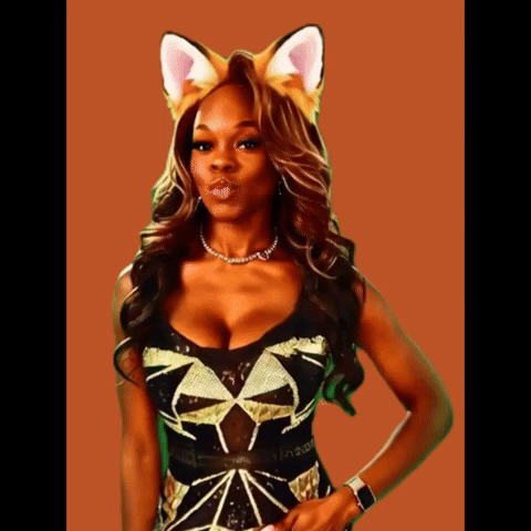 Foxxe Banner