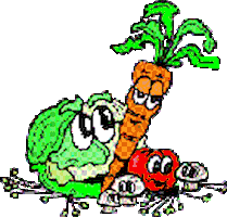 Sayurikan Aquaponics Sticker