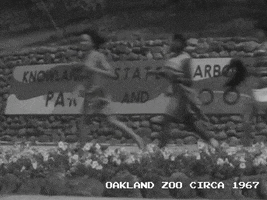 100 Years Running GIF by Oakland Zoo