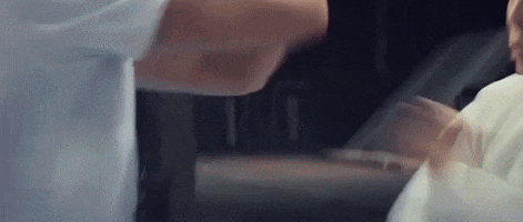 Ip Man GIF