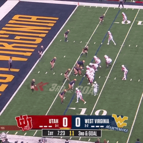 Touchdown Utah GIF