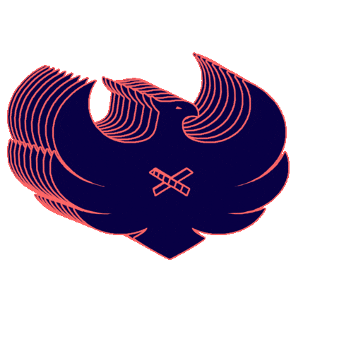 edusport academy Sticker