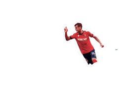 Navarra Sticker by Kosner Climatización