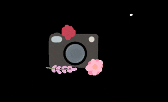 Art Flowers GIF