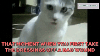kimberli  GIF