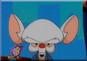 Pinky And The Brain Crypto GIF by DONUTs