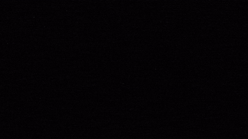 Dale Play Records GIF