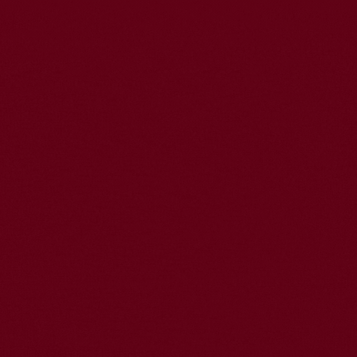 Tudors Shirt Kingdom GIF