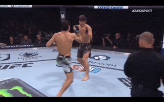 Ufc GIF