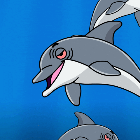 Dolphin Derek GIF