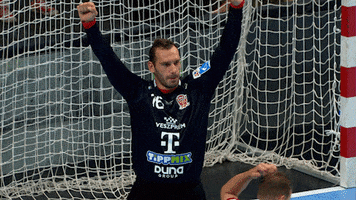 Happy Telekom Veszprem GIF by SEHA