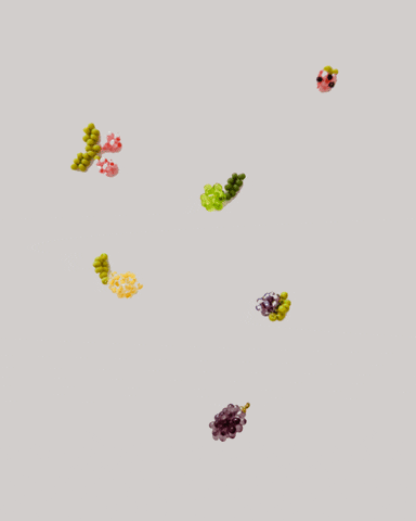 euniqyou GIF