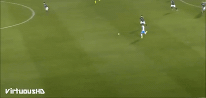 FLC  GIF