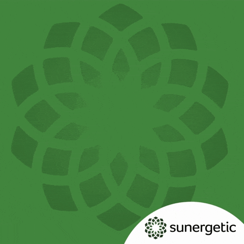 Suner GIF by Sunergetic