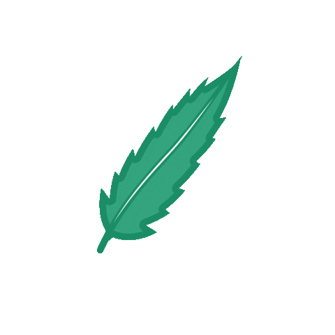 Fetch! Naturals Sticker