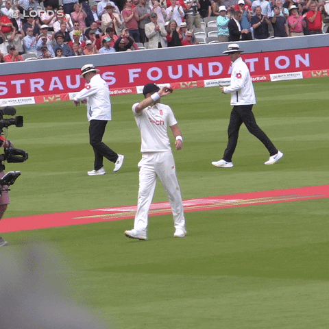 London Sport GIF by Lord's Cricket Ground