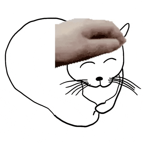 Cat GIF