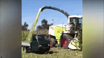 Tuk Tuk GIF