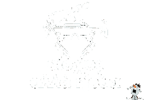 Pilates Reformer Sticker by Kinesis Athens physio