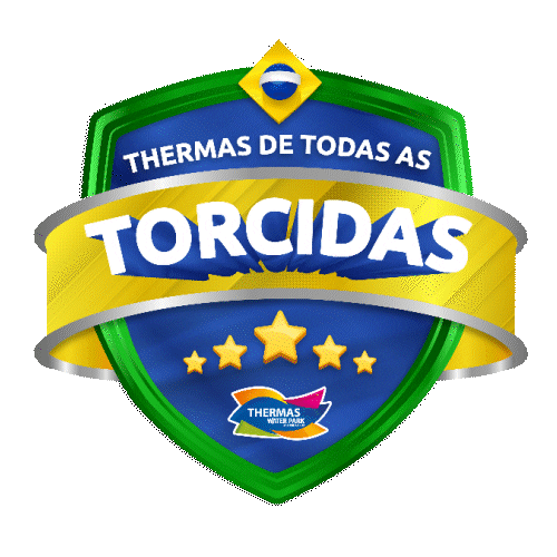 Copa Do Mundo Sport Sticker by Thermas Water Park