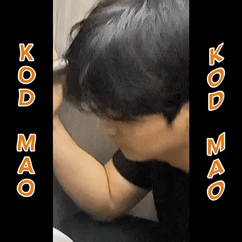 Hyo234 GIF