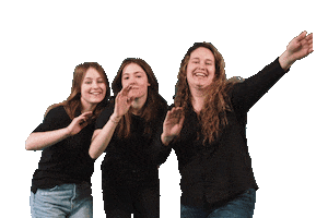 De Witte Leeuw Sticker