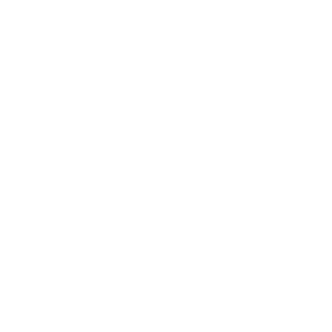 Bear Sticker