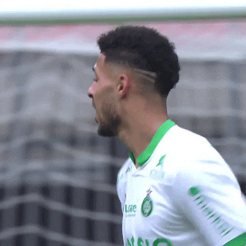 Sorry Football GIF by AS Saint-Étienne