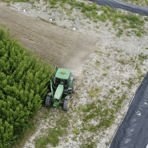Ramo Gif GIF