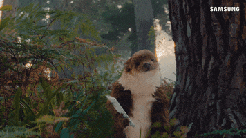 Awesome Otter GIF by Samsung Mobile