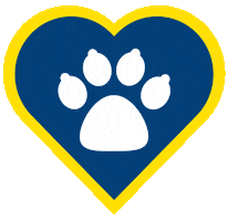 Islas Canarias Cat Sticker by Fred. Olsen Express