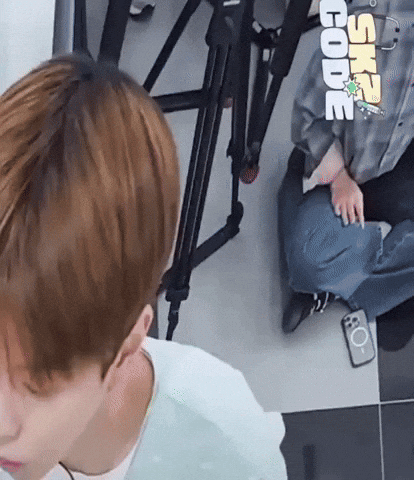 Stray Kids Skz GIF