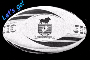 Seinäjoki Rugby GIF
