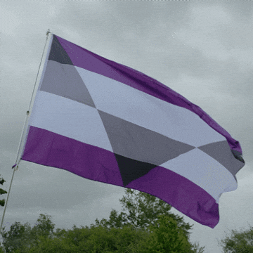 Pride Lgbt GIF by AceArchive