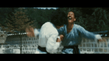 Martial Arts Dragon GIF