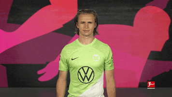 Vfl Wolfsburg Football GIF by Bundesliga