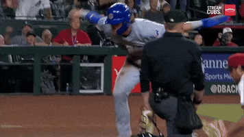 Chicago Cubs Sport GIF by MLB